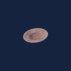 Crude Wooden Platter