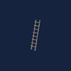 Wooden Ladder