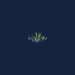 Wheat Seedling (1000)