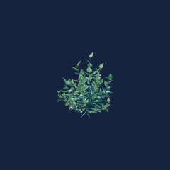 Nettle Seedling (1000)