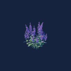 Sage Seedling (1000)