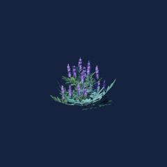 Indigo Seedling (1000)