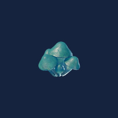 Azure Russula Seedling (1000)