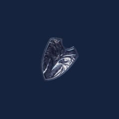 Hero`s Shield