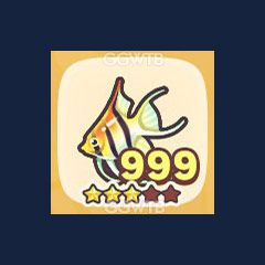 Angelfish x 999