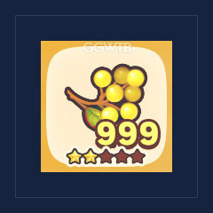 Rejuvenating Berries x 999