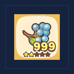Wake-up Berries x 999