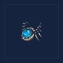 Bysmiel`s Iris