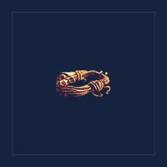 Acolyte`s Cord