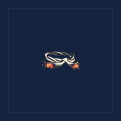 Infernus Cord
