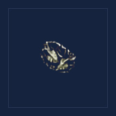 Lifegiver Signet