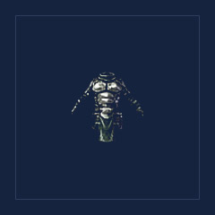 Mythical Stealth Jacket of the Venomblade
