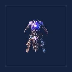 Pyran`s Vestments