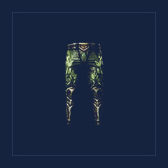 Mythical Wildshorn Legguards