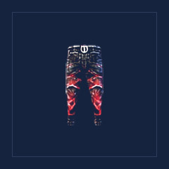 Shadowbinder`s Leggings