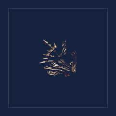 Diviner`s Mantle