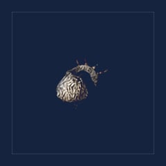 Lokhor`s Mantle