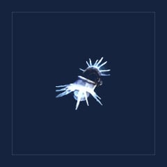 Mythical Rimeforged Mantle