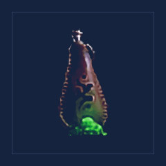 Conjurer`s Powder