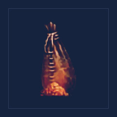 Dermapteran Chitin