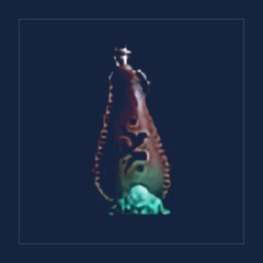 Hexxer`s Bloom