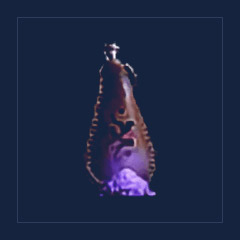 Hexxer`s Delight