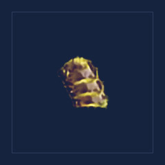 Ancient Armor Plate
