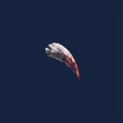 Hollowed Fang
