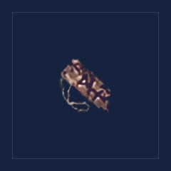Mark of the Traveler