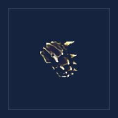 Serrated Shell