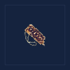 Symbol of Solael
