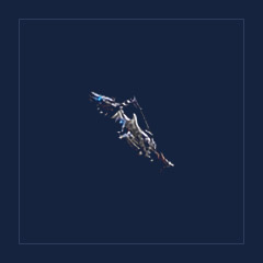 The Northern Wyrm