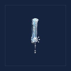 Blade of the Ice King
