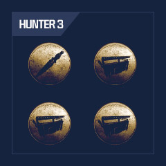 2/8 hunters + 17 skins + 12 keychains + 136 chests + 8250 ep