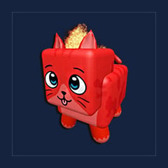 Fire Cat Pet