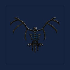 Skelly Pet