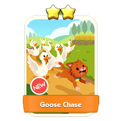 Goose Chase