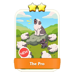 The Pro