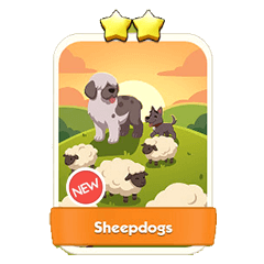 Sheepdogs