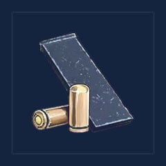 Magnum Ammo