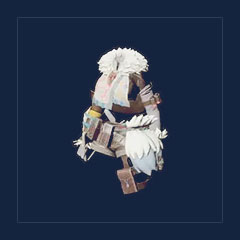 Pelt Armor(Rare)