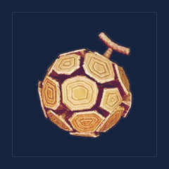 Earth Skill Fruit(Stone Blast)