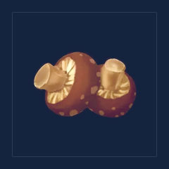 Baked Mushroom