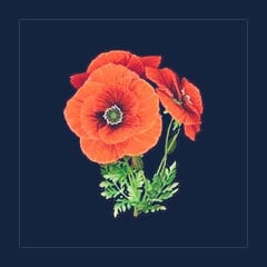 Beautiful Flower