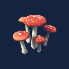 Mushroom