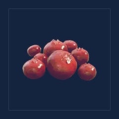 Red Berries