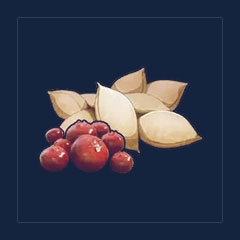 Berry Seeds