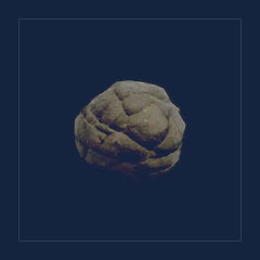 Dung
