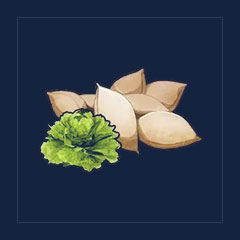 Lettuce Seeds