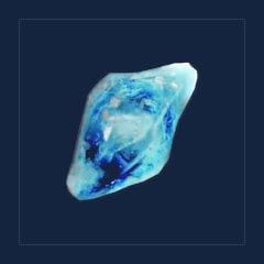 Paldium Fragment